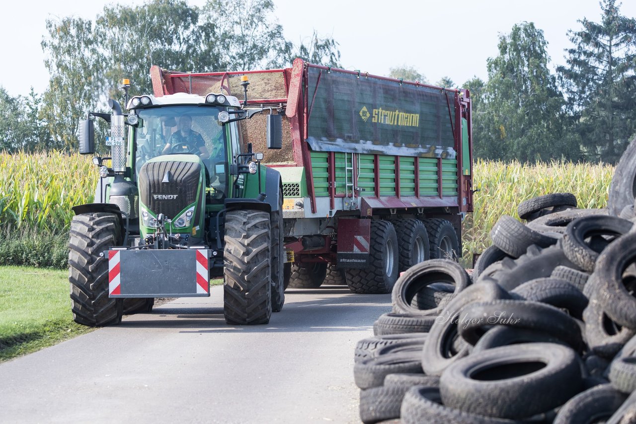 Bild 175 - Maisernte